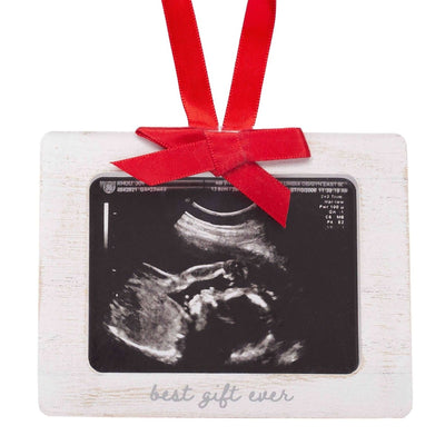 Best Gift Ever Holiday Picture Frame Ornament - LIV & Company