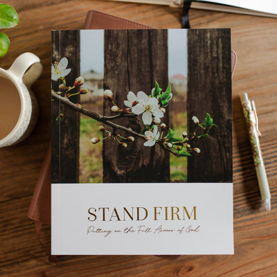 An image illustrating the Stand Firm | Armor of God Study, a comprehensive and engaging Bible study resource for developing spiritual strength and resilience