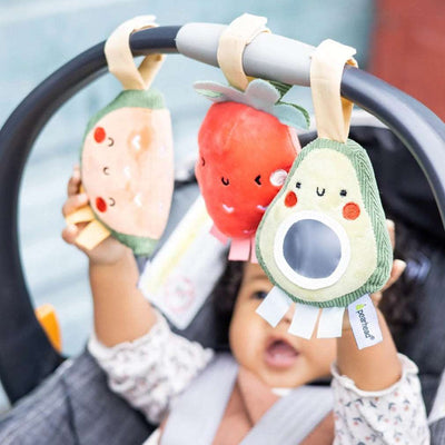 Fruit Stroller Toy Set